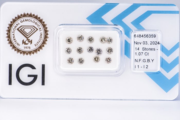 Ingen mindstepris - 14 pcs Diamant  (Naturfarvet)  - 1.07 ct - Rund - Fancy Brunlig, Grålig Gul - I1, I2 - International Gemological Institute (IGI)