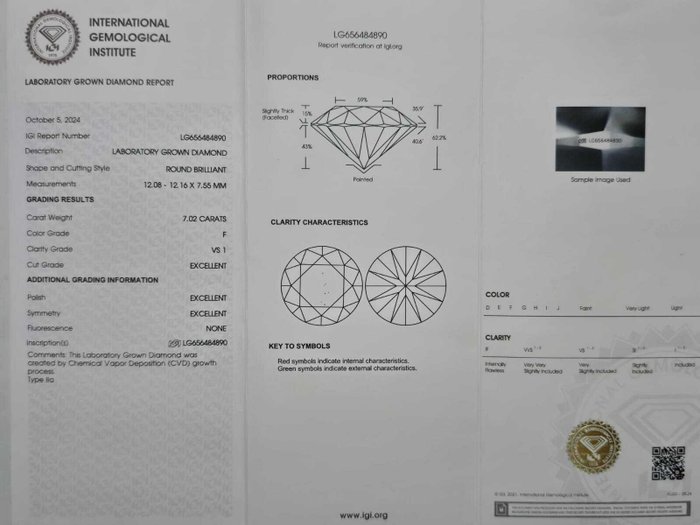 Ring - 18 kraat Hvidguld -  7.42ct. tw. Diamant (Laboratoriedyrket) - Diamant - Forlovelsesring