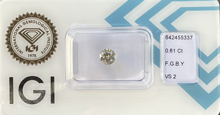 Ingen mindstepris - 1 pcs Diamant  (Natur)  - 0.61 ct - Rund - VS2 - International Gemological Institute (IGI) - F.G.B.Y