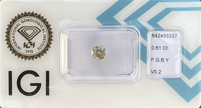 Ingen mindstepris - 1 pcs Diamant  (Natur)  - 0.61 ct - Rund - VS2 - International Gemological Institute (IGI) - F.G.B.Y