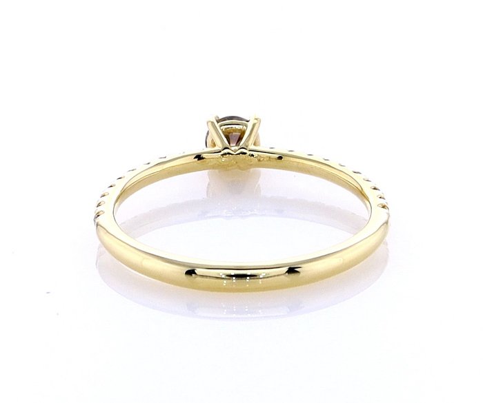 Ingen mindstepris - Ring - 14 karat Gulguld -  0.42ct. tw. Diamant (Naturfarvet) - Diamant