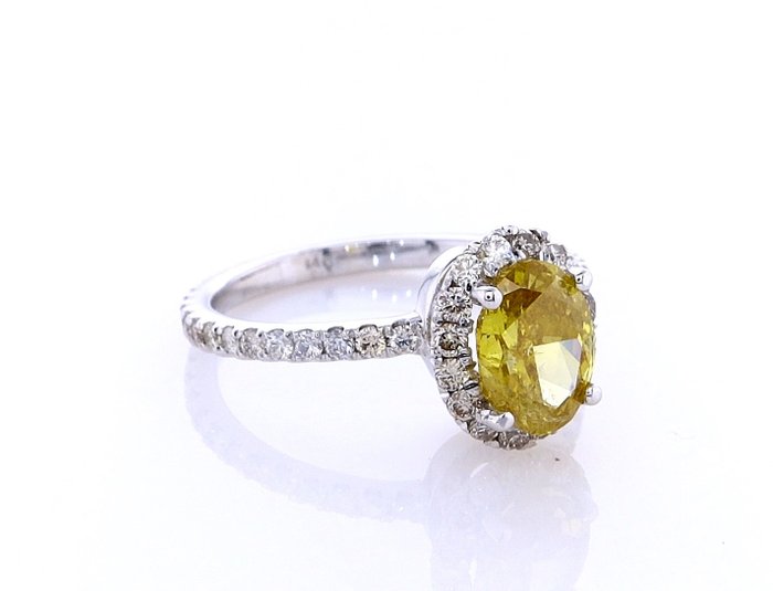 Ring - 14 karat Hvidguld -  1.81ct. tw. Gul Diamant (Naturfarvet) - Diamant