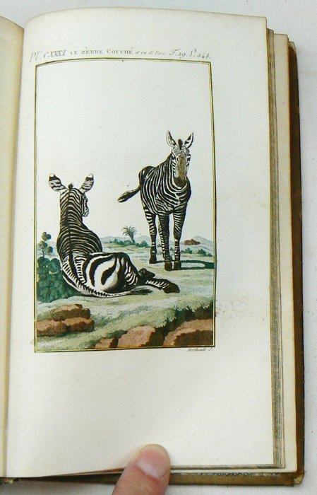 Georges-Louis Leclerc de Buffon - Histoire Naturelle génerale et particulière par Leclerc de Buffon; nouvelle edition [] - 1799