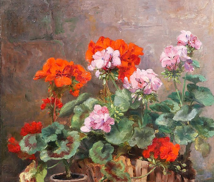 Antoine Lambert (XIX) - Garden still life of geraniums