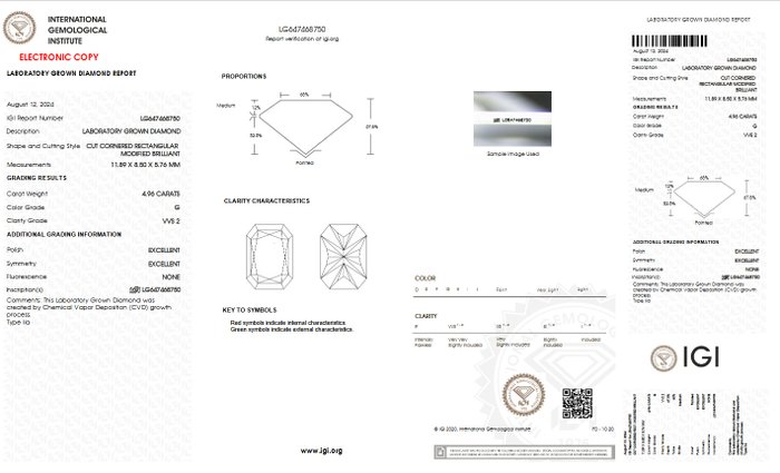 Ingen mindstepris - Ring - 18 kraat Gulguld -  4.96ct. tw. Diamant (Laboratoriedyrket) - G VVS2 IGI Certificeret