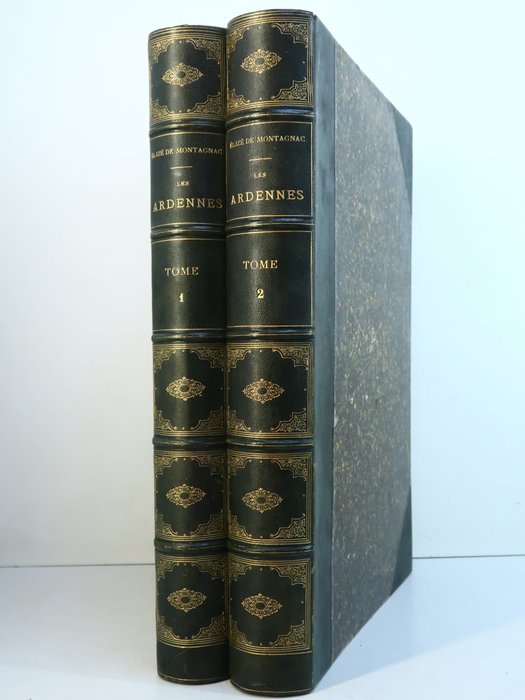 de Montagnac, Théophile Gautier, H. Taine, Ch. Yriarte / Gustave Doré, D. Lancelot, - Les Ardennes en France et en Belgique - 1874