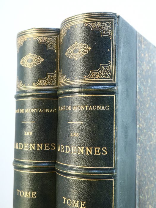 de Montagnac, Théophile Gautier, H. Taine, Ch. Yriarte / Gustave Doré, D. Lancelot, - Les Ardennes en France et en Belgique - 1874