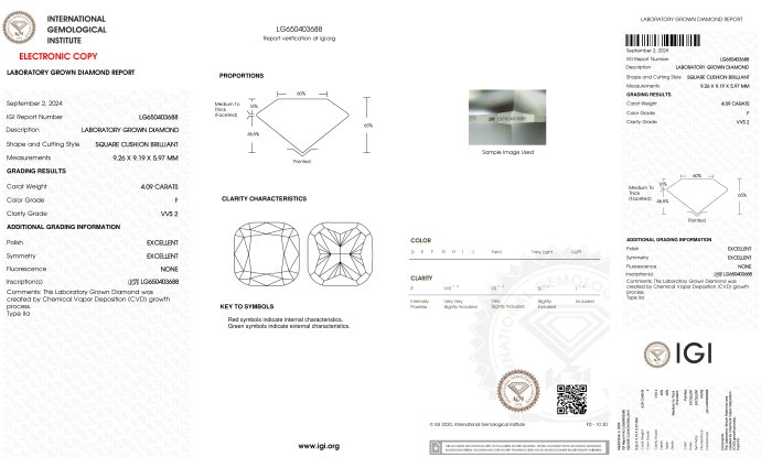 Ingen mindstepris - Ring - 18 kraat Hvidguld -  4.09ct. tw. Diamant (Laboratoriedyrket) - Sq. Pude F-VVS2