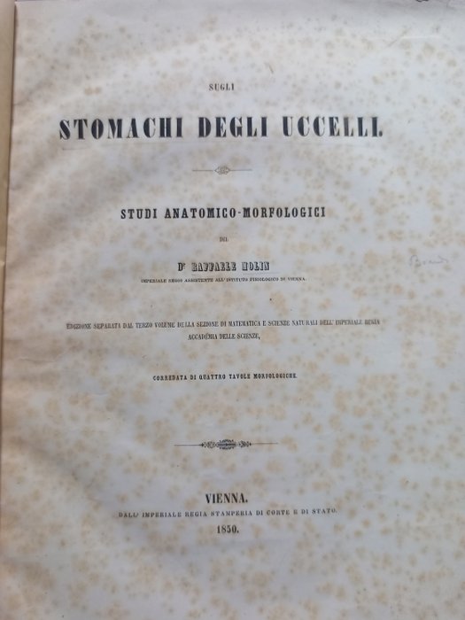 Raffaele Molin - Sugli stomachi degli uccelli Studi anatomico-morfologici - 1850