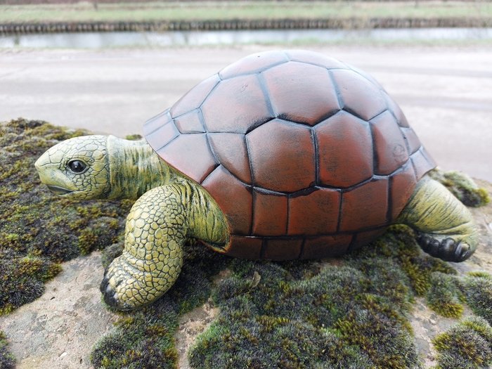 Statue lifelike turtle - 14 cm - polyresin