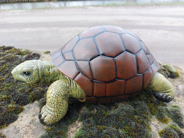 Statue, lifelike turtle - 14 cm - polyresin