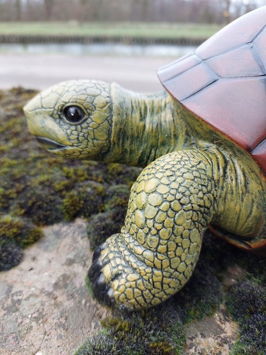 Statue, lifelike turtle - 14 cm - polyresin