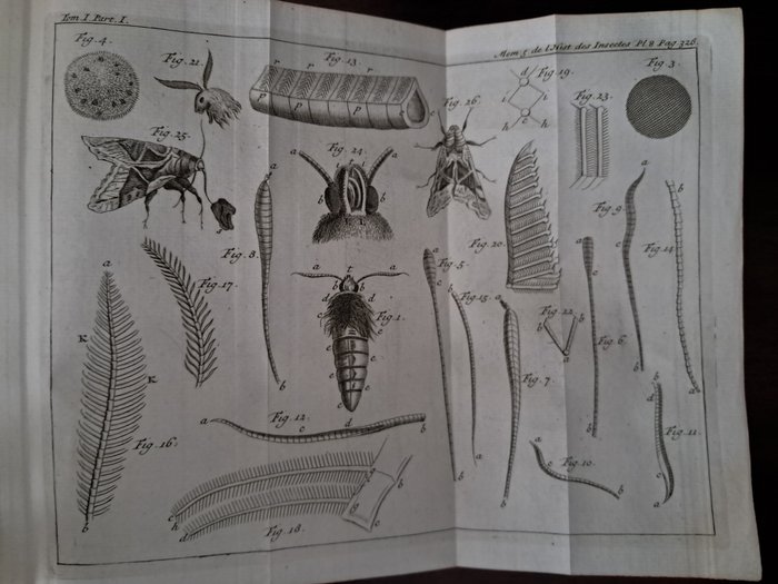 M. De Réaumur - Mémoires pour servir à l'histoire des insectes. Tome I : Sur les chenilles et les papillons - 1737