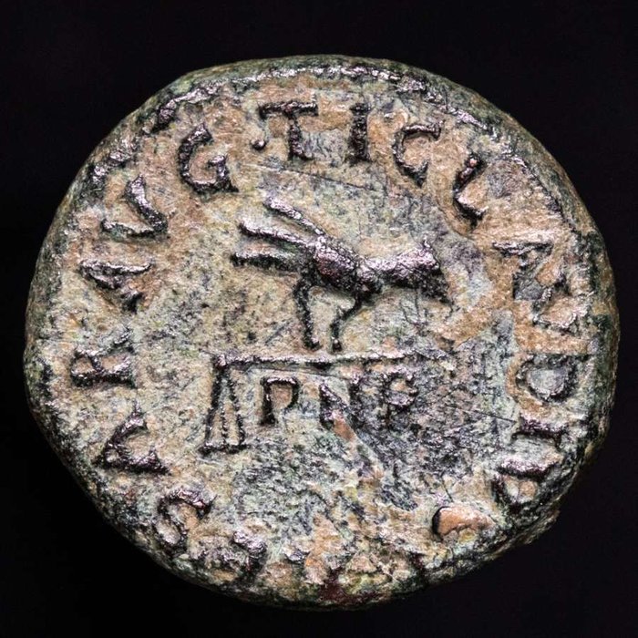 Romarriket. Claudius (AD 41-54). Quadrans Rome mint (42 A.D.) TI CLAVDIVS CAESAR AVG. Hands / Scales  (Ingen mindstepris)