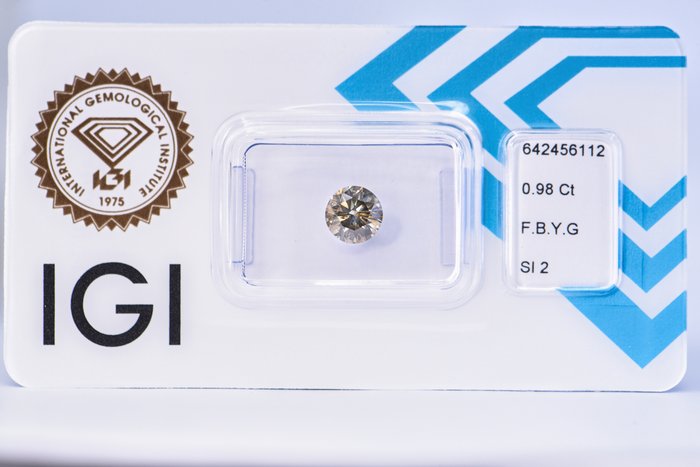 Ingen mindstepris - 1 pcs Diamant  (Naturfarvet)  - 0.98 ct - Rund - Fancy Brunlig, Gullig Grå - SI2 - International Gemological Institute (IGI)