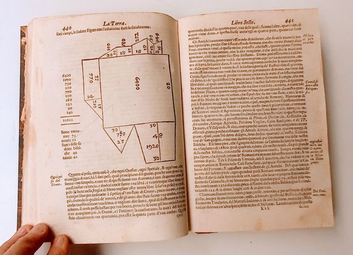 Vincenzo tanara - L'economia del cittadino in villa di Vincenzo Tanara Libri VII. Il pane e'l vino, le viti e l'api, - 1644