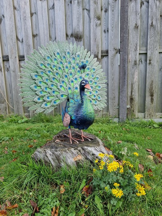 Statue, XL Metal Garden Peacock - 63 cm - Metal