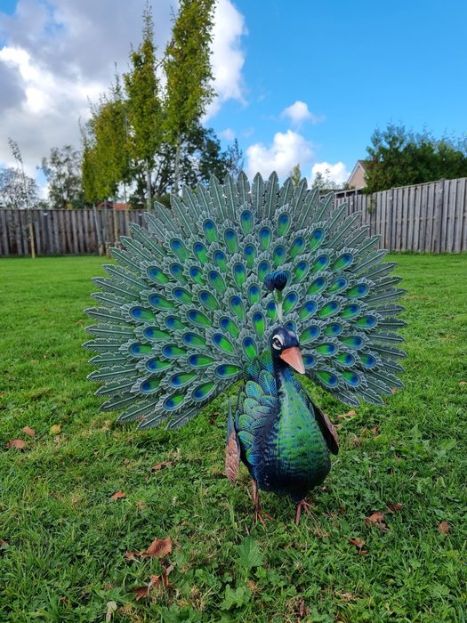 Statue, XL Metal Garden Peacock - 63 cm - Metal