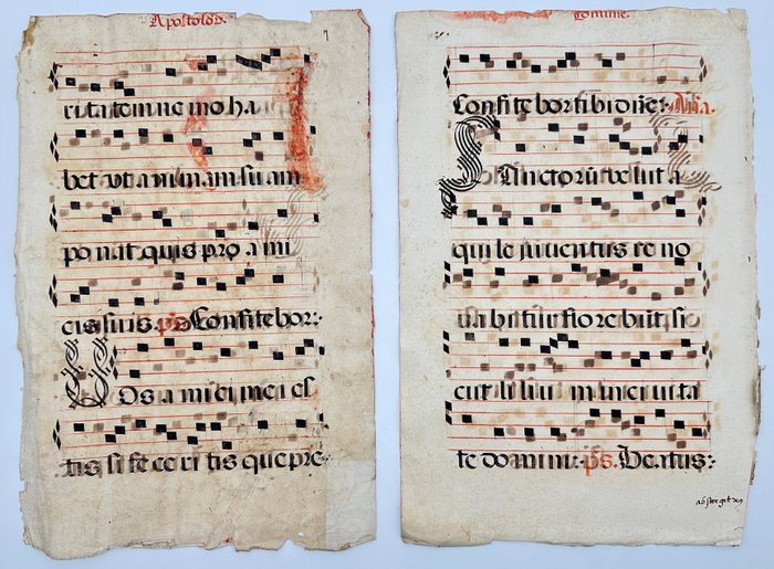 Manuskript - Unknown - Set of 4 Sheets - Latin antiphonary on paper with initials in black - Italy - 1600s - 1600