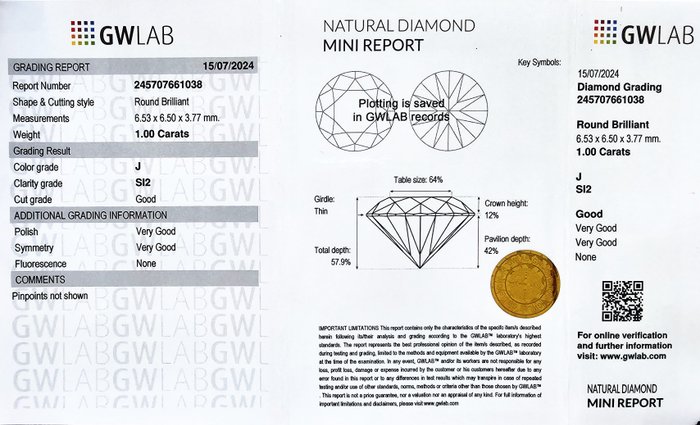 1 pcs Diamant  (Natur)  - 100 ct - Rund - J - SI2 - Gemewizard Gemological Laboratory (GWLab)