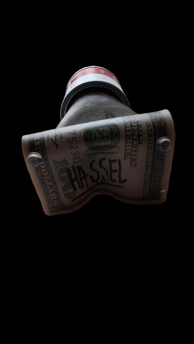 Ad van Hassel - Old Dollar  / Andy Warhol