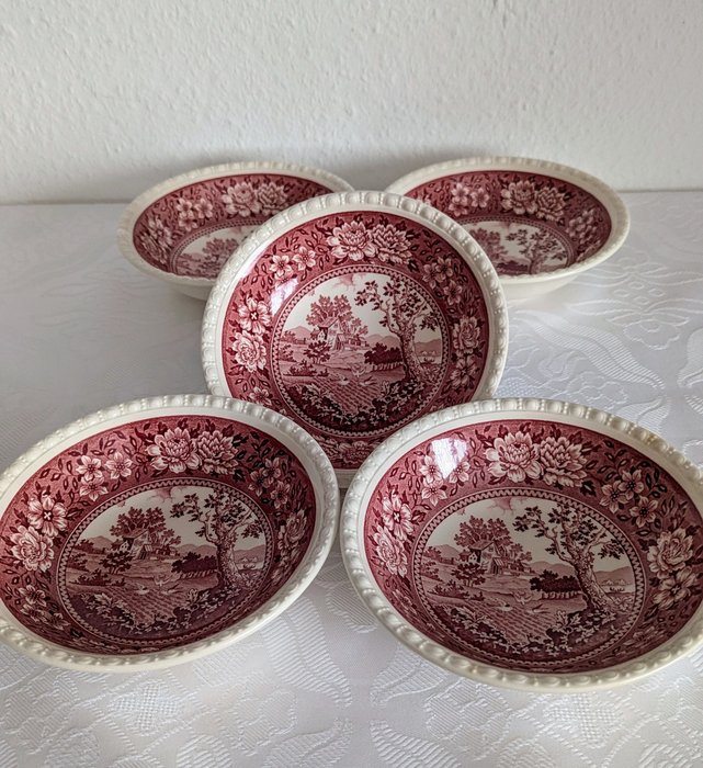 Villeroy  Boch - Sæt skåle (5) - Rusticana rot - Porcelæn - Middagsservice, skål