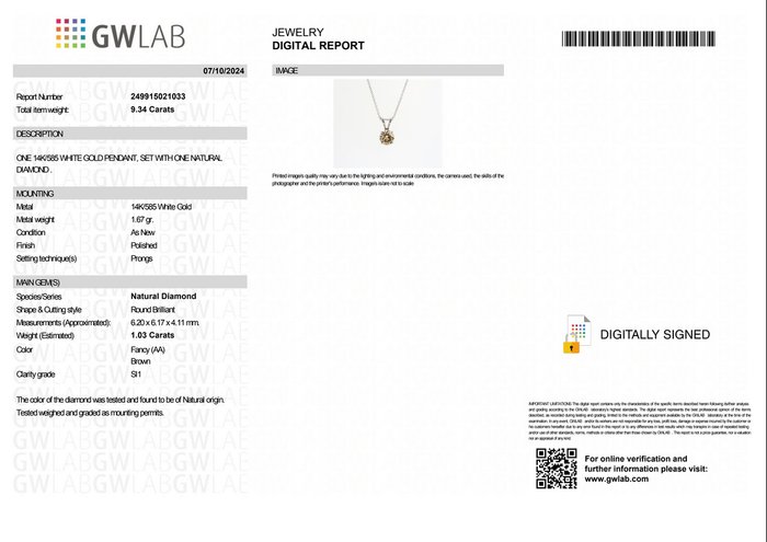 Ingen mindstepris - Halskæde med vedhæng - 14 karat Hvidguld -  1.03ct. tw. Brun Diamant (Naturfarvet) - GWLab