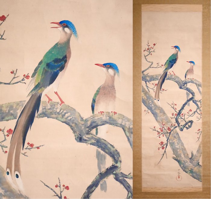 Red Plum - 2 Long-Tailed Birds - Hanging Scroll - Signed Jippō 十畝 - Japan  (Ingen mindstepris)