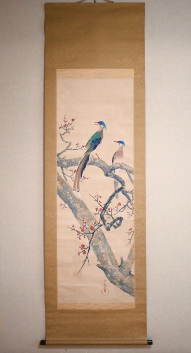 Red Plum - 2 Long-Tailed Birds - Hanging Scroll - Signed Jippō 十畝 - Japan  (Ingen mindstepris)