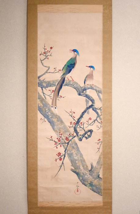 Red Plum - 2 Long-Tailed Birds - Hanging Scroll - Signed Jippō 十畝 - Japan  (Ingen mindstepris)