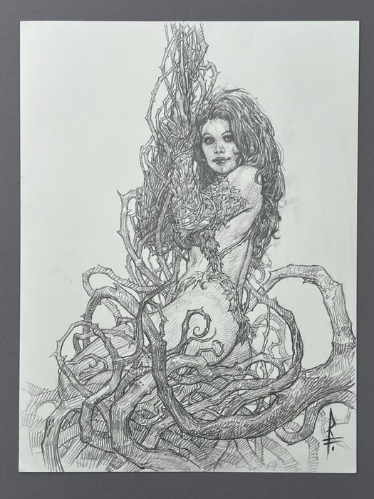 Riccardo Federici - 1 Original drawing - Poison Ivy - Very Detailed Pencil Drawing