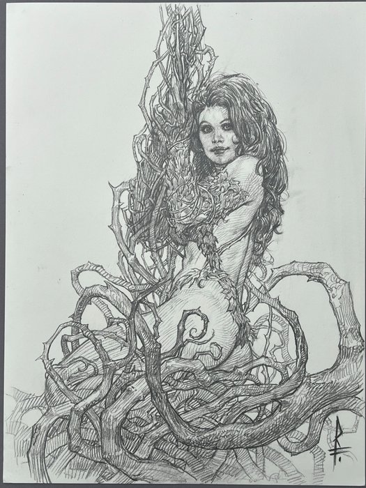 Riccardo Federici - 1 Original drawing - Poison Ivy - Very Detailed Pencil Drawing