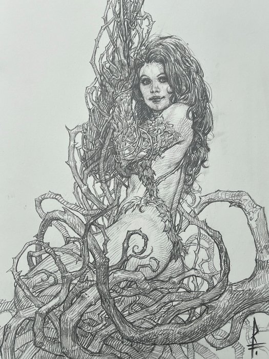 Riccardo Federici - 1 Original drawing - Poison Ivy - Very Detailed Pencil Drawing