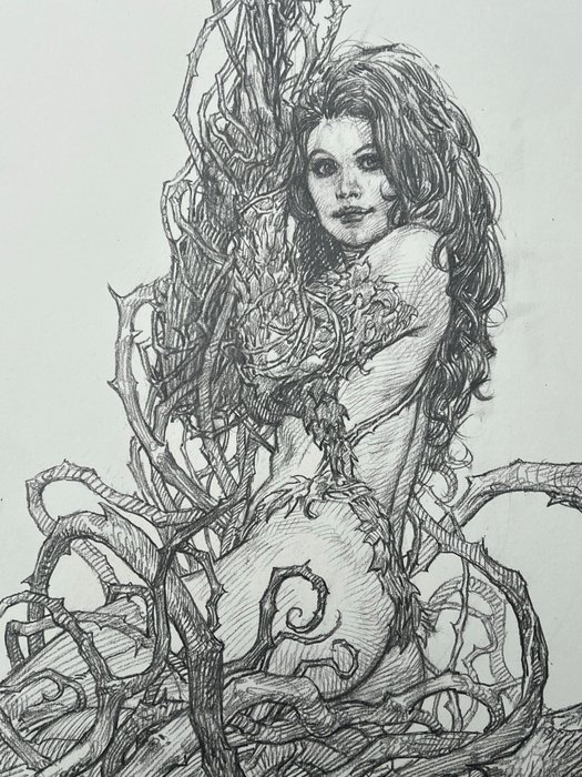 Riccardo Federici - 1 Original drawing - Poison Ivy - Very Detailed Pencil Drawing