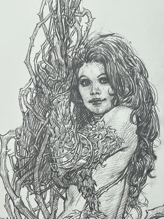 Riccardo Federici - 1 Original drawing - Poison Ivy - Very Detailed Pencil Drawing