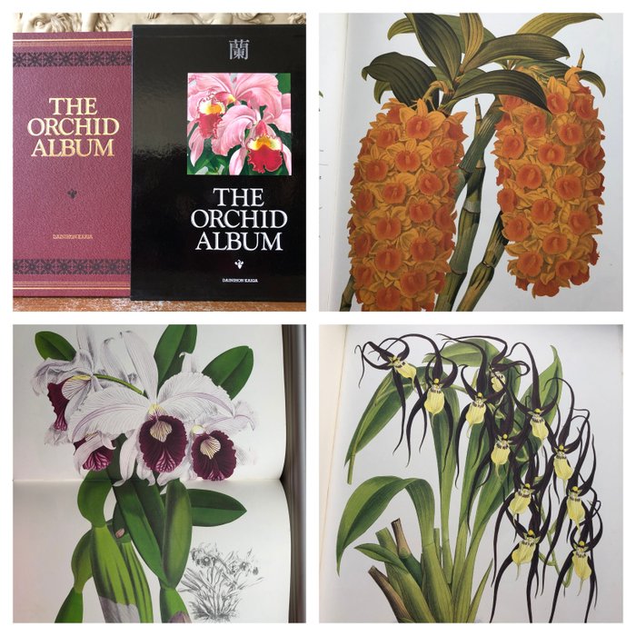 Robert Warner - Benjamin S. Williams - Thomas Moore - John Nugent Fitch. - The Orchid Album (with 233 coloured plates) - 1985