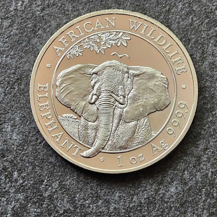 Somalia 100 Shillings 2021 Elephant 1 Oz (999)  (Ingen mindstepris)