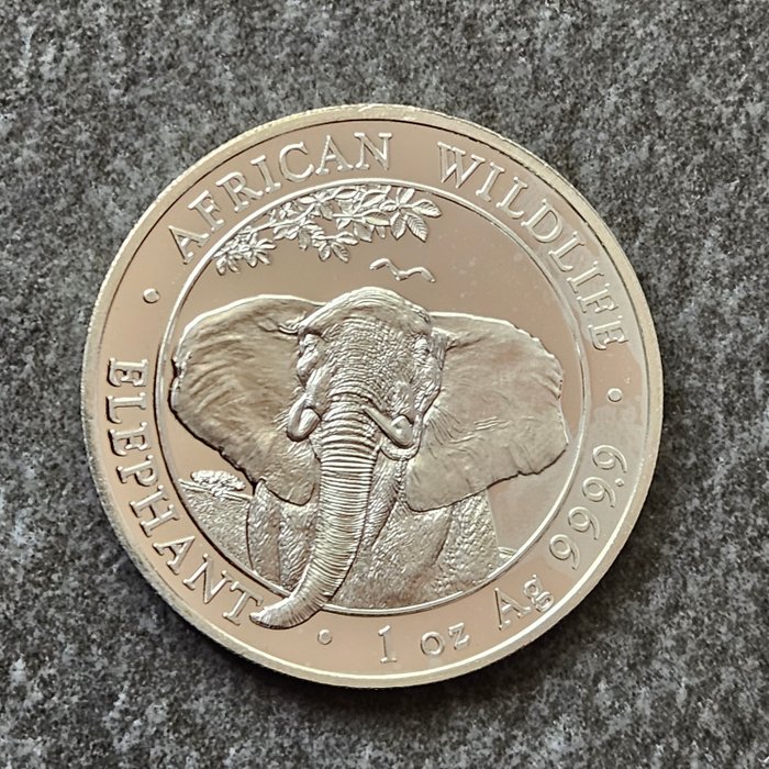 Somalia 100 Shillings 2021 Elephant 1 Oz (999)  (Ingen mindstepris)