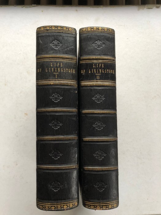 J. Ewing Ritchie - The Pictorial Edition of the Life and Discoveries of David Livingstone. - 1879