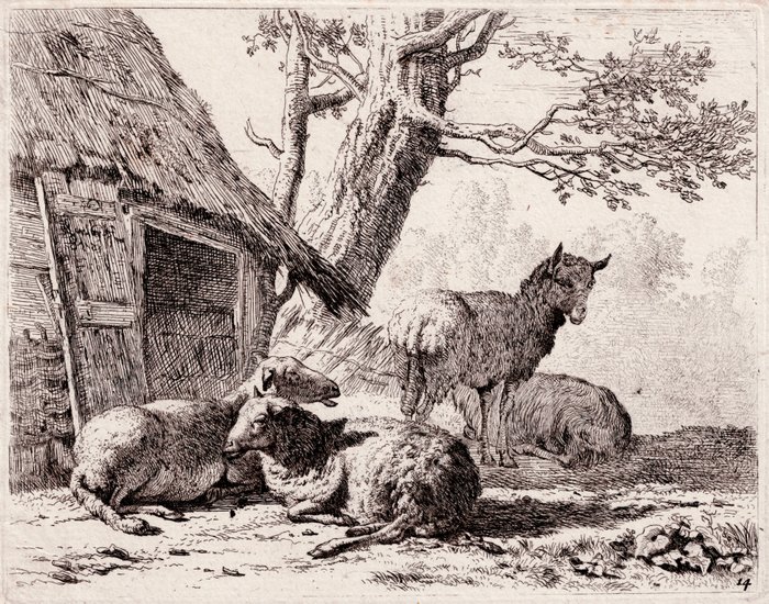 Karel Dujardin (c.1626-1678) - Sheep in front of a thatched stable