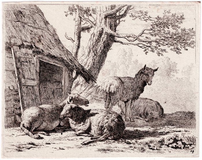 Karel Dujardin (c.1626-1678) - Sheep in front of a thatched stable