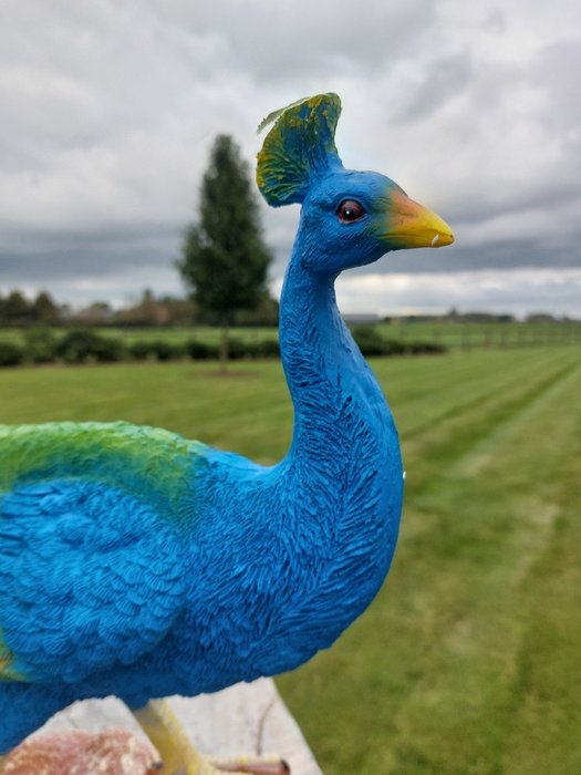 Statue beautiful statue of colorful peacock - 40 cm - polyresin