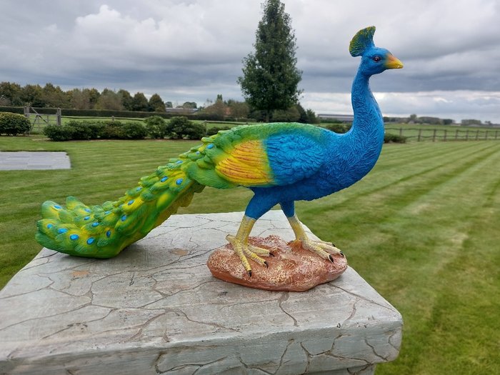 Statue beautiful statue of colorful peacock - 40 cm - polyresin