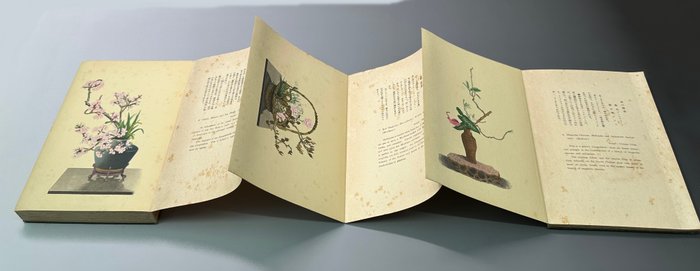 小原光雲 - 小原流插花／瓶華傑作集Collection of Japanese小原流 Obara-style flower arrangement masterpieces - 1934