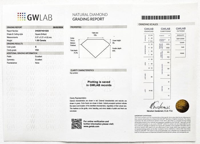 1 pcs Diamant  (Natur)  - 100 ct - Kvadrat - E - VS1 - Gemewizard Gemological Laboratory (GWLab)