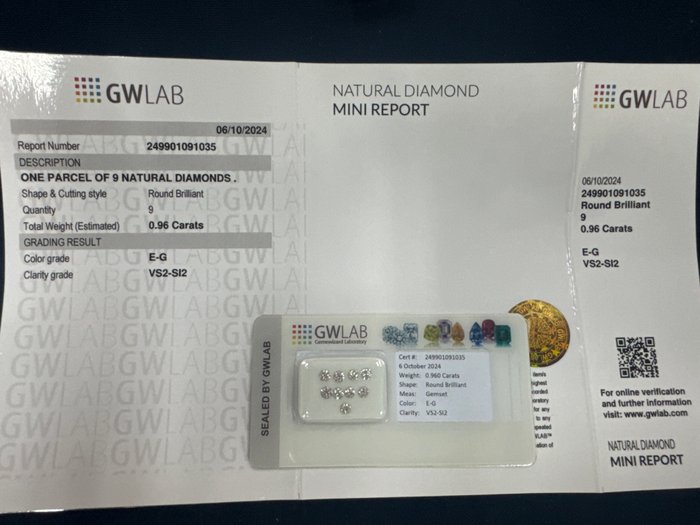 Ingen mindstepris - 9 pcs Diamant  (Natur)  - 0.96 ct - Rund - E, F, G - SI1, SI2, VS2 - Gemewizard Gemological Laboratory (GWLab)