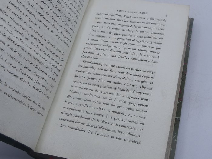 Huber - Recherches sur les moeurs des fourmis indigènes - 1810