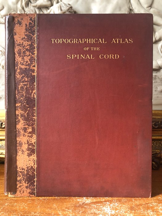 Alexander Bruce. - Topographical Atlas of The Spinal Cord. - 1901