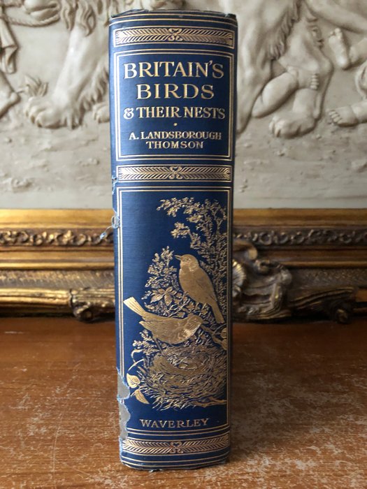 A. Landsborough Thomson / George Rankin - Britain's Birds and Their Nests - 1910