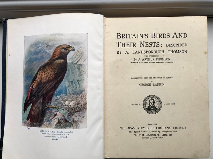 A. Landsborough Thomson / George Rankin - Britain's Birds and Their Nests - 1910